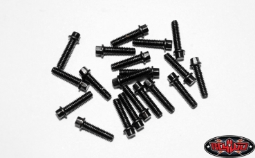 RC4WD Miniatur-Skalen-Sechskant-Schrauben (M2 x 8mm) (Schwarz)